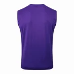Camiseta Sin Mangas Real Madrid 2025 2026 Purpura