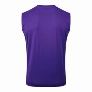 Real Madrid Camiseta 2025 2026 Púrpura - Camiseta Real Madrid | tiendasdefutboles