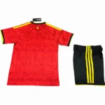 Casa Conjunto De Hombre Brasil 2026 Rojo