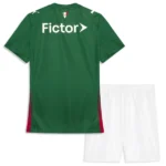 Casa Conjunto De Hombre Palmeiras 2026 2027 Verde