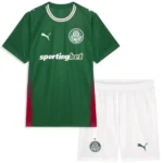 Casa Conjunto De Hombre Palmeiras 2026 2027 Verde