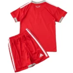 Casa Conjunto De Niños Gales 2026 Rojo
