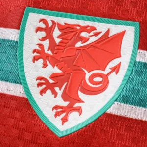 Gales Camiseta Edición Jugadores 2026 Casa Roja - Camiseta Gales Rugby | tiendasdefutboles