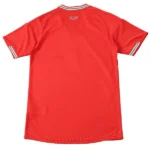 Casa Jugadores Camiseta Gales 2026 Rojo