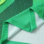 Casa Jugadores Camiseta Nigeria 2026 Verde