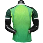 Casa Jugadores Camiseta Nigeria 2026 Verde