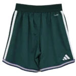 Casa Jugadores Pantalones Arabia Saudita 2026 Verde