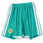 Irlanda Del Norte Pantalones 2026 Casa Verde - Pantalón Irlanda Del Norte | tiendasdefutboles