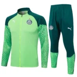 Conjunto Completo Ropa Deportiva Con Cremallera Larga Palmeiras 2025 2026 I Verde