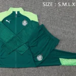 Conjunto Completo Ropa Deportiva Con Cremallera Larga Palmeiras 2025 2026 Verde
