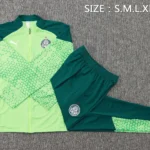 Conjunto Completo Ropa Deportiva Con Cremallera Larga Palmeiras 2025 2026 I Verde