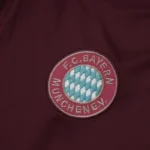 Conjunto Completo Sudadera Entrenamiento Bayern Múnich 2025 2026 Gris Azul