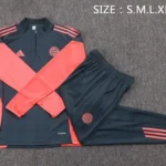 Conjunto Completo Sudadera Entrenamiento Bayern Múnich 2025 2026 Gris Naranja