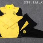 Conjunto Completo Sudadera Entrenamiento Borussia Dortmund 2025 2026 Amarillo Negro