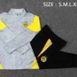 Conjunto Completo Sudadera Entrenamiento Borussia Dortmund 2025 2026 Gris Amarillo Negro