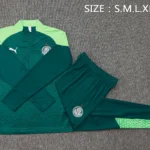 Conjunto Completo Sudadera Entrenamiento Internacional 2025 2026 Verde
