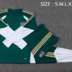 Conjunto Completo Sudadera Entrenamiento Niños Italia 2026 Verde Blanco