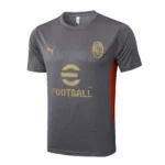 AC Milan Chándal 2024 2025 Gris - Maglia Ac Milan | tiendasdefutboles