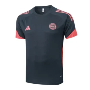 Bayern Múnich Chándal 2025 2026 Gris - Chándal Bayern Múnich | tiendasdefutboles