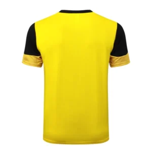Borussia Dortmund Chándal 2025 2026 Amarillo - Chándal Borussia Dortmund | tiendasdefutboles