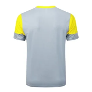 Borussia Dortmund Chándal 2025 2026 Gris - Chándal Borussia Dortmund | tiendasdefutboles