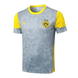 Borussia Dortmund Chándal 2025 2026 Gris - Chándal Borussia Dortmund | tiendasdefutboles