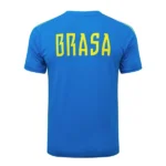 Entrenamiento Brasil 2026 Azul Amarillo