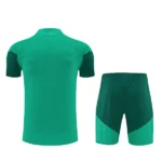 Entrenamiento Conjunto Completo Argelia 2026 Verde