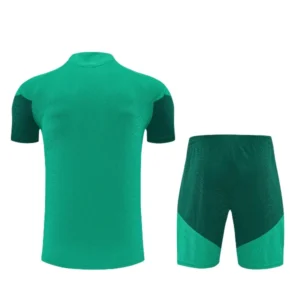 Argelia Conjunto 2026 Verde - Argelia Barata | tiendasdefutboles