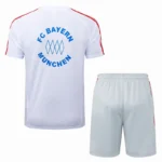 Entrenamiento Conjunto Completo Bayern Múnich 2025 2026 Blanco Azul Gris