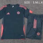 Entrenamiento Conjunto Completo Bayern Múnich 2025 2026 Gris Naranja