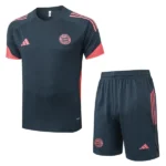 Bayern Múnich Conjunto 2025 2026 Gris - Bayern Múnich Barata | tiendasdefutboles