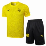 Borussia Dortmund Conjunto 2024 2025 Amarillo - Tuta Borussia Dortmund | tiendasdefutboles