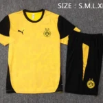 Entrenamiento Conjunto Completo Borussia Dortmund 2025 2026 Amarillo Negro