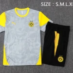 Entrenamiento Conjunto Completo Borussia Dortmund 2025 2026 Gris Amarillo Negro