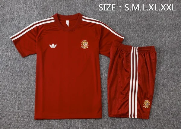Entrenamiento Conjunto Completo España 2026 Borgona España Conjunto 2026 - España Barata | tiendasdefutboles