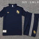 Entrenamiento Conjunto Completo Juventus 2025 2026 Azul Marino