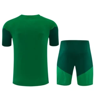Argelia Niños Conjunto 2026 Verde - Argelia Niños Barata | tiendasdefutboles