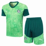 Entrenamiento Conjunto Completo Palmeiras 2025 2026 Verde
