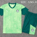 Entrenamiento Conjunto Completo Palmeiras 2025 2026 Verde