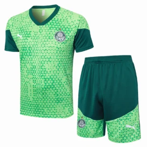 SE Palmeiras Conjunto 2025 2026 Verde - Tuta SE Palmeiras | tiendasdefutboles