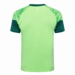 Entrenamiento Palmeiras 2025 2026 Verde