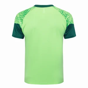 SE Palmeiras Chándal 2025 2026 Verde - Tuta SE Palmeiras | tiendasdefutboles