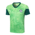 SE Palmeiras Chándal 2025 2026 Verde - Tuta SE Palmeiras | tiendasdefutboles