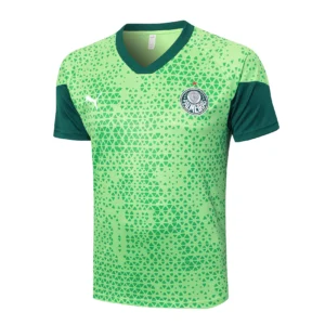 SE Palmeiras Chándal 2025 2026 Verde - Tuta SE Palmeiras | tiendasdefutboles