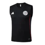 Ajax Chándal 2025 2026 Negro - Maglia Ajax | tiendasdefutboles