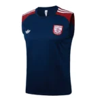 Arsenal Chándal 2025 2026 Azul - Maglia Arsenal | tiendasdefutboles