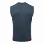 Entrenamiento Sin Mangas Bayern Múnich 2025 2026 Gris Marino