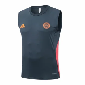Bayern Múnich Chándal 2025 2026 Gris - Tuta Bayern Múnich | tiendasdefutboles