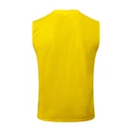 Entrenamiento Sin Mangas Borussia Dortmund 2024 2025 Amarillo